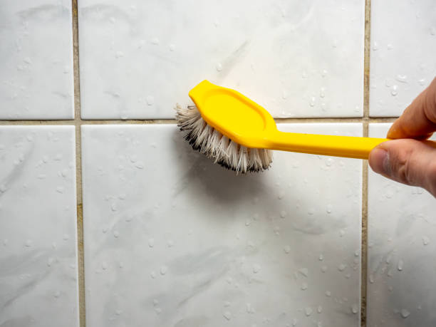 Best Mold Remediation  in Mount Vernon, TX