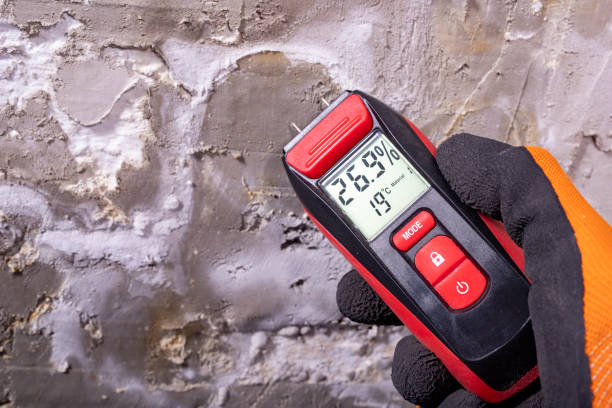 Best Mold Testing  in Mount Vernon, TX