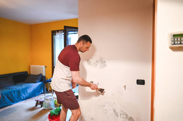 Best Crawl Space Mold Removal  in Mount Vernon, TX